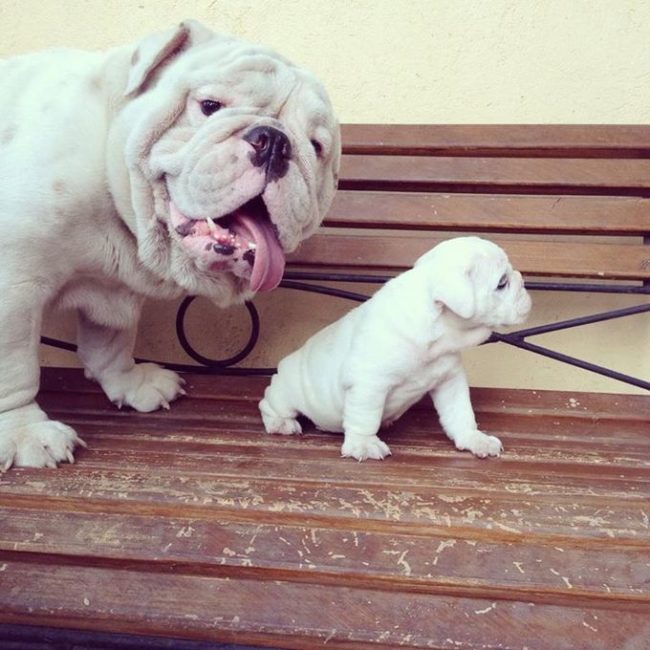 "No big deal, but I made this little dude."