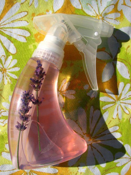 Use this <a href="http://makezine.com/2009/07/20/homemade_flea_repellent/" target="_blank">lavender-infused concoction</a> to naturally get rid of fleas.