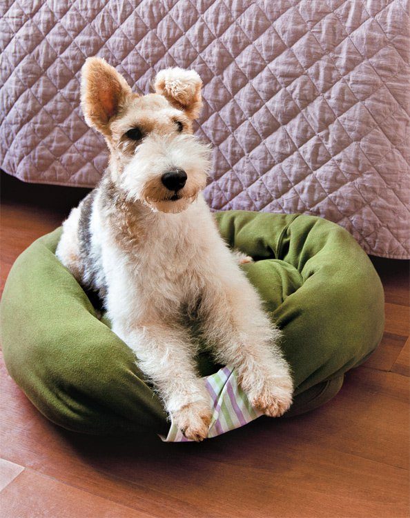 Turn an <a href="http://www.handimania.com/diy/sweatshirt-pet-bed.html" target="_blank">old sweatshirt</a> into a dog bed.