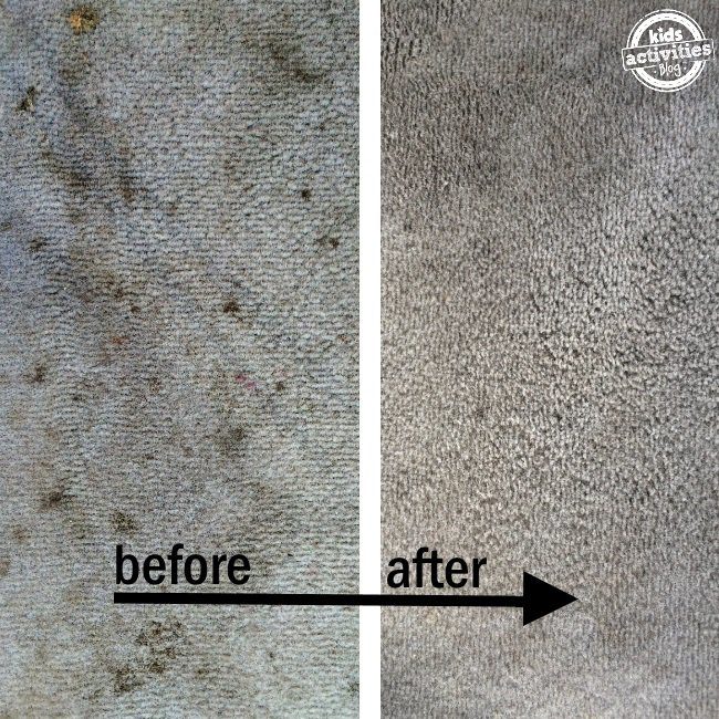 Spot clean carpets with a mix of water, hydrogen peroxide, and lemon essential oil.