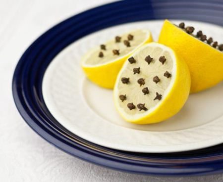 Slice open a few lemons and push cloves into them. Set them by your food when you're outdoors and the bugs will stay away. 