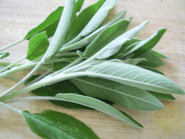 Put a bunch of sage leaves in your grill to keep mosquitoes away.