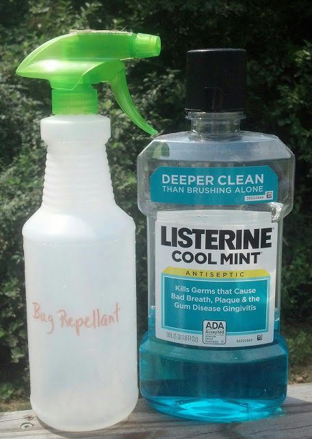 If you run out of bug spray, <a href="http://mintjulepsnmuddin.blogspot.com/2013/08/safer-mosquito-repellant.html" target="_blank">Cool Mint Listerine</a> will do the trick...you'll just to reapply a bit more frequently.