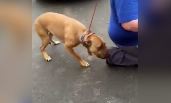 Chaos was there, and he was ready to reunite with his family.