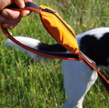 The dog walker and trainer who specializes in socialization came up with the <a href="http://walkproleash.com/" target="_blank">WalkPro Leash</a>, which gives dog owners a great way to store the not-so-nice presents our pups leave behind while we finish our walks.
