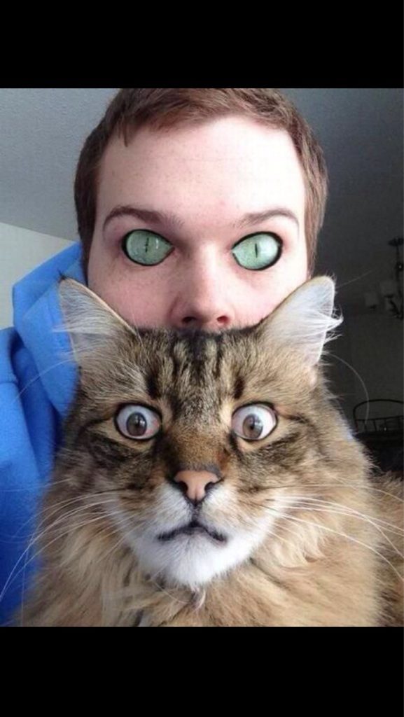 Cat eyes are cool...until you put them on a human face.