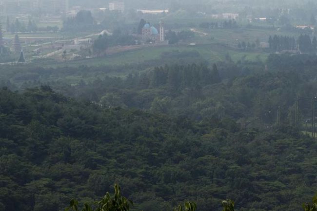 Here you can see that the track extends even farther into the surrounding forest.