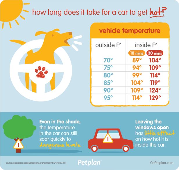 Cracking the windows might make <em>you</em> feel better, but it doesn't do anything to ensure your pet stays cool.