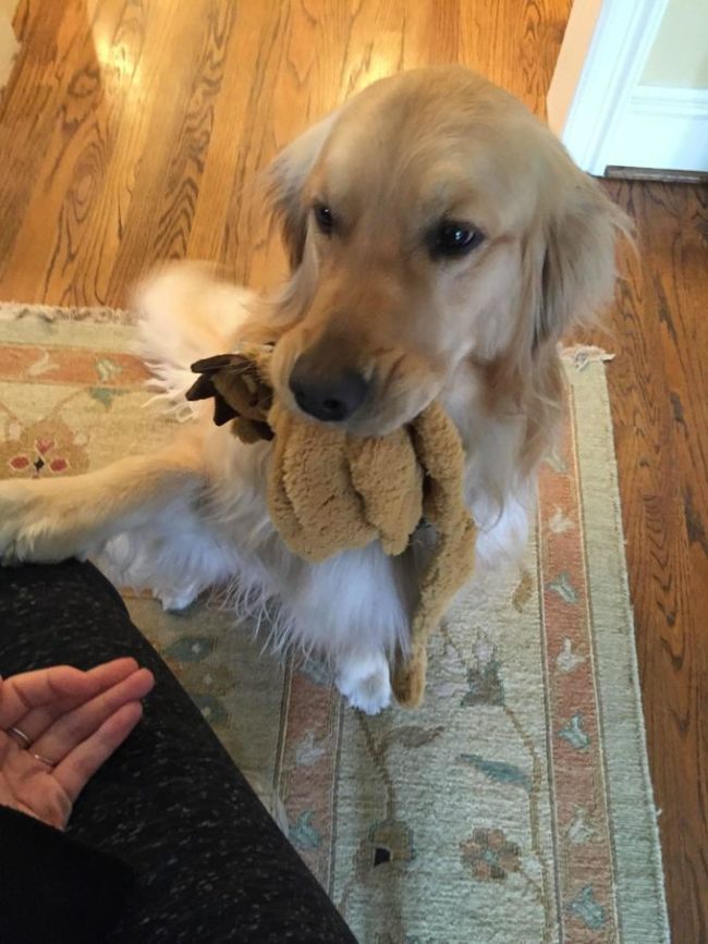 When you come home, they're so overjoyed, they have to mark the occasion with a gift!