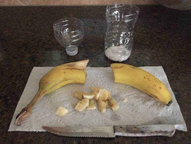 Cut up some pieces of banana.