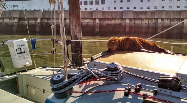 A day of boating doesn't get much better than this.