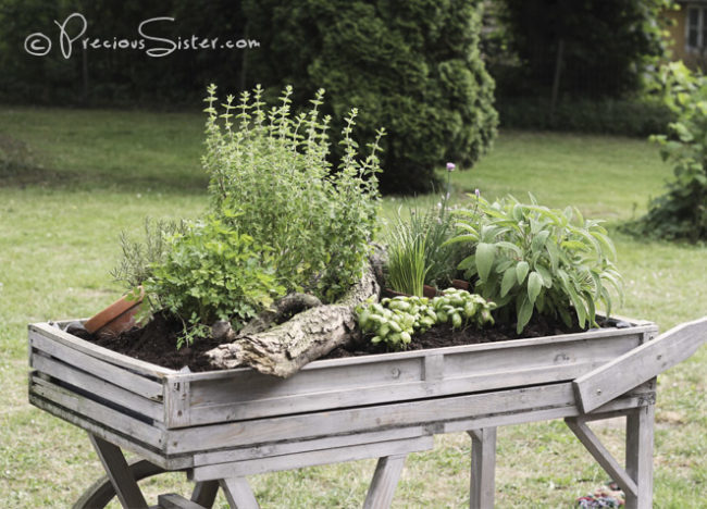 Add interest to your yard and master low-maintenance gardening with an adorable <a href="http://www.precioussister.com/blog/garden-tips-herb-wagon" target="_blank">herb wagon</a>.