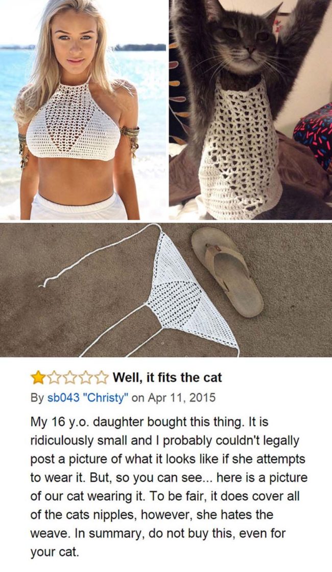 At least the cat looks great in it!