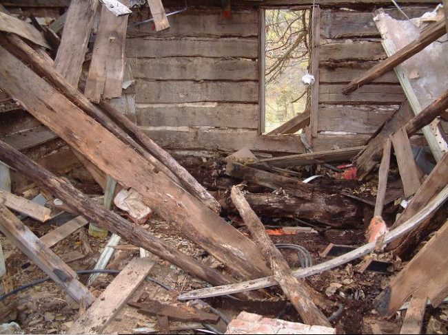 Anyone else would look at this pile of rubble, chalk the mess up to natural reclamation, and quickly move along.