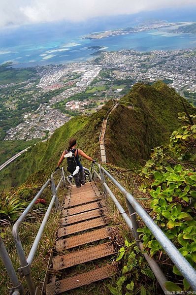 In fact, one search on Yelp yields hundreds of reviews written by daredevils who decided to climb the Haiku Stairs anyway.