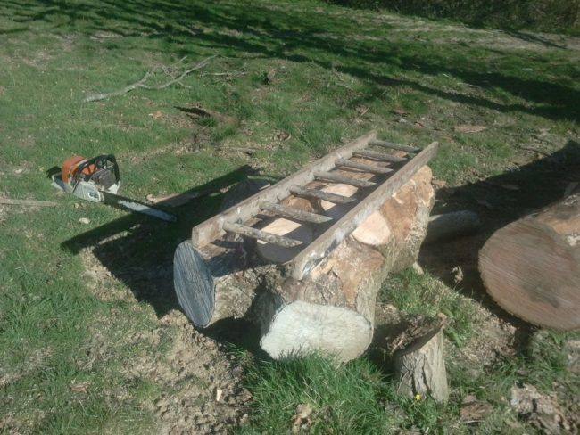 But first, let's start from the beginning. This was the huge log that bongodrummer had just hanging out in his field.