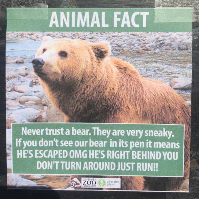 I knew a bear once...he was truly unbearable.