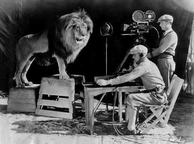 The cameramen who shot and recorded the lion roar for the MGM logo in 1928.