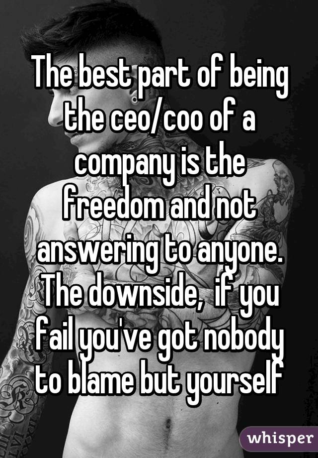 The best part of being the ceo/coo of a company is the freedom and not  answering to anyone. The downside, if you fail you