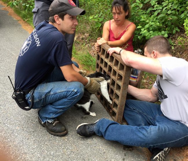 When the kitten's owner, Tim James, got there, the rescue crew had James get some soap from his kitchen...