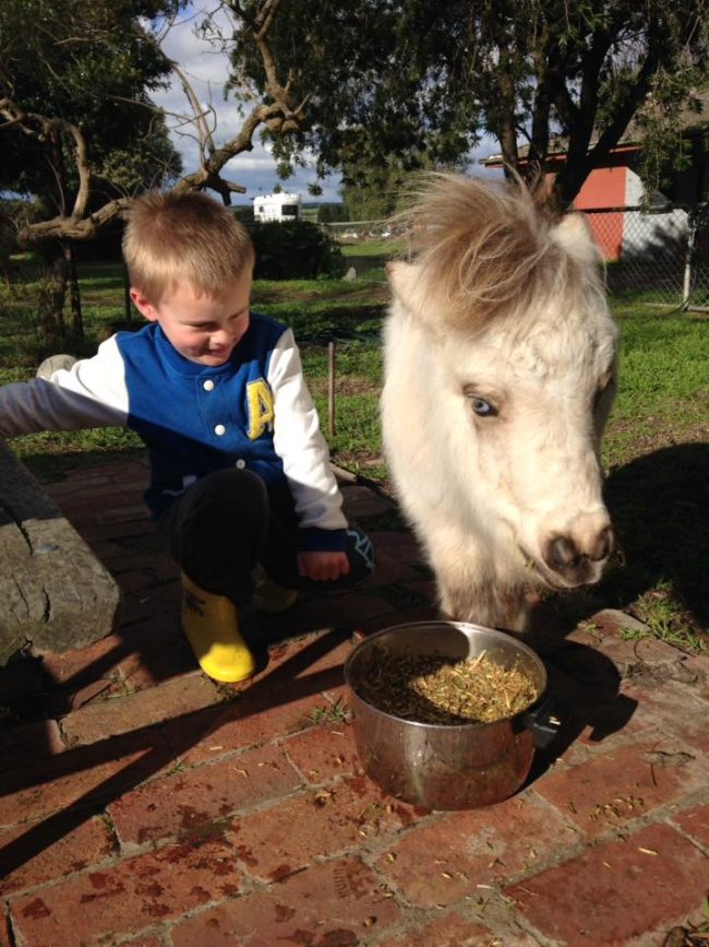 But most importantly, Bowie gives back to his community. He attends many local events and brings smiles to people young and old.