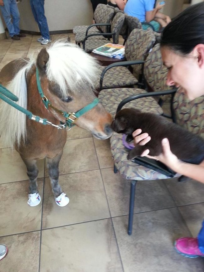 He made fast friends with just about everyone who came into the office.