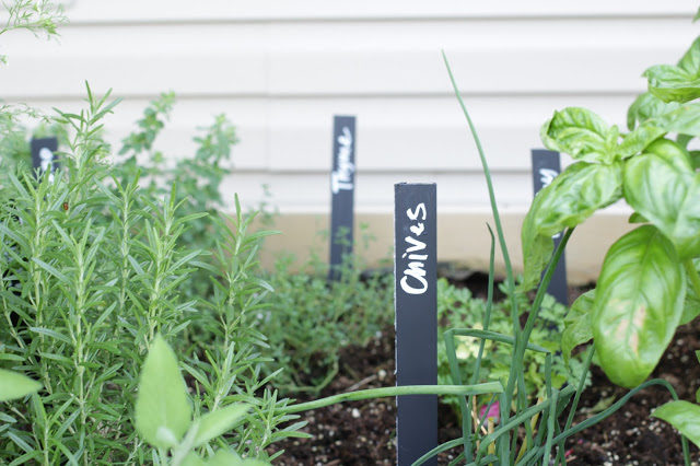 Turn stirring sticks into <a target="_blank" href="http://www.handmadeintheheartland.com/2013/06/easy-garden-markers.html#_a5y_p=1365759">garden markers</a> for easy organization.