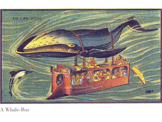 What's underwater living without a whale bus?