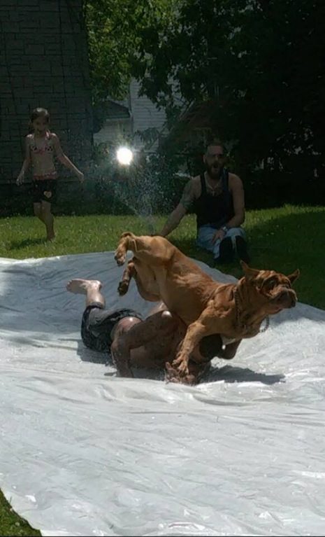 Someone was a little impatient for their turn on the Slip 'N Slide.