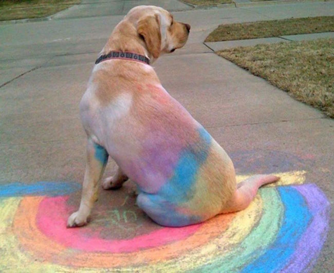 I've heard of  finger painting, but nothing like this!