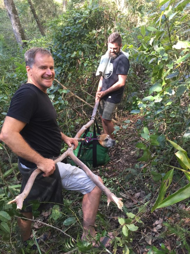 But they were able to avoid that by threading a strong branch through the bag's handles, making it much easier to carry her up toward the road.