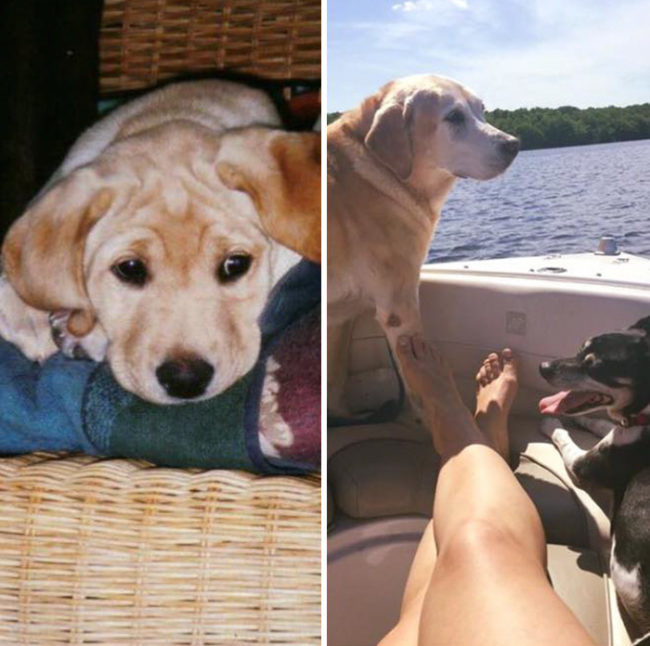 One more boat ride with her pet parents was all she needed.