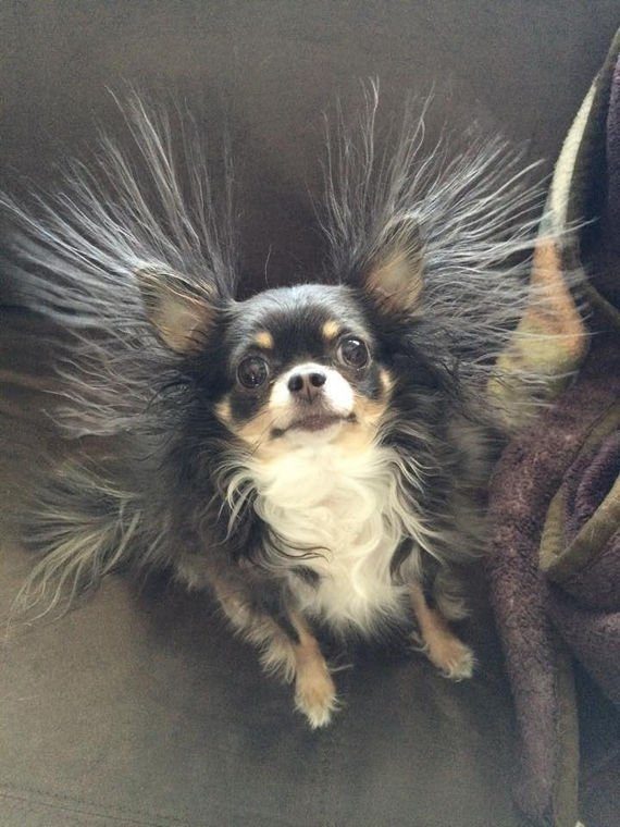 I bet your wind-blown hairdo doesn't seem so terrible now!