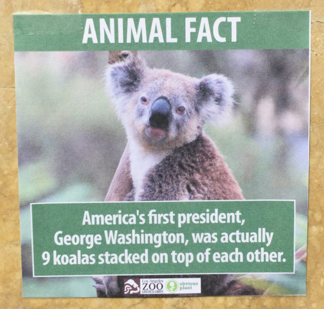 That explains why George Washington was so tall. 