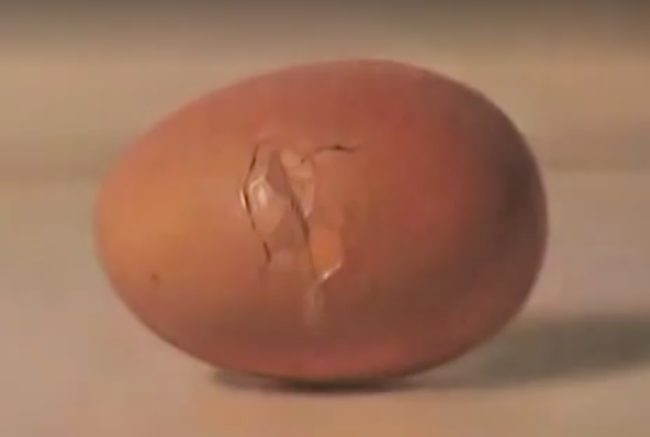 There's something very strange about this egg...