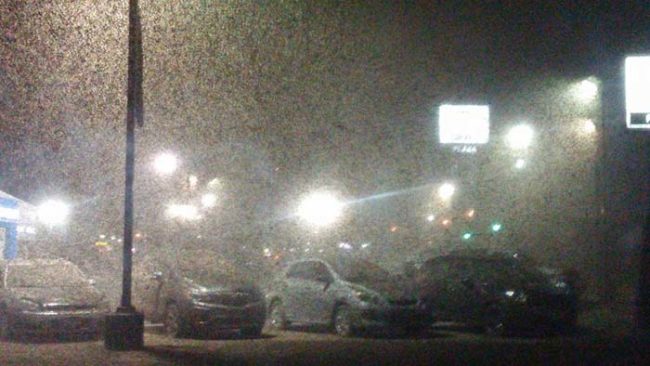I present to you exhibit A. This is a GM Pontiac dealership that is being absolutely SWARMED by an army of bugs. No word on exactly which kind of bugs, but at this point, does it really matter?
