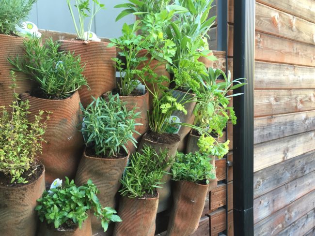 Who knew that a fire hose could be such great potting material?