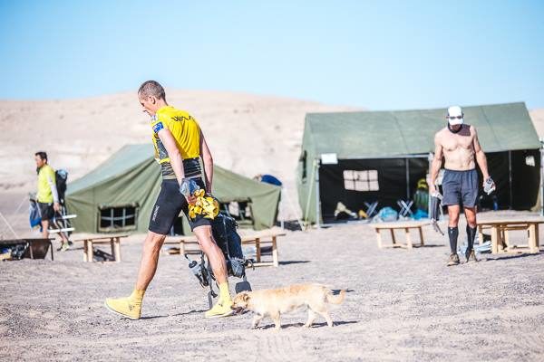 She followed him around everywhere in the camps and through four of the race's six stages, inspiring him to change her name to Gobi.