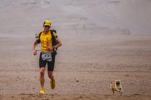 The run would be very physically demanding for even the fittest person, let alone a small dog.  But that's exactly what competitors saw running alongside them on the first day.