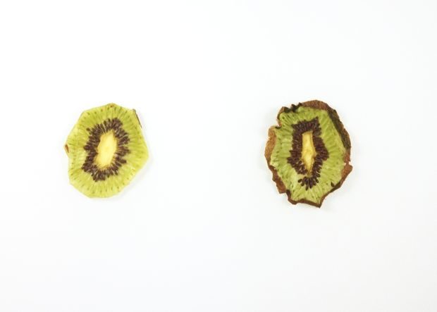 Before adding the fruit to resin, the jeweler uses a sealant spray to ensure that no leftover moisture will escape her little slices and react with the resin.