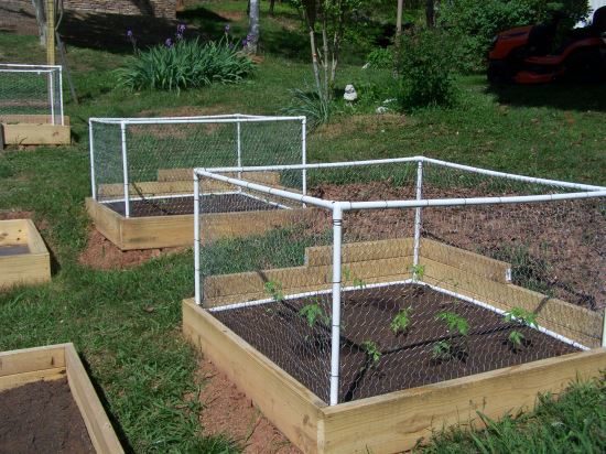 Keep critters at bay by putting a <a href="http://www.grit.com/farm-and-garden/do-it-yourself/pvc-framed-garden-box-enclosures-zb0z1604.aspx" target="_blank">PVC fence</a> around your garden.
