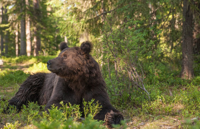 Although the hide wasn't exactly luxurious, Turner explained that he wouldn't trade the experience for anything in the world. "They were easily the best three days of my life," he writes.