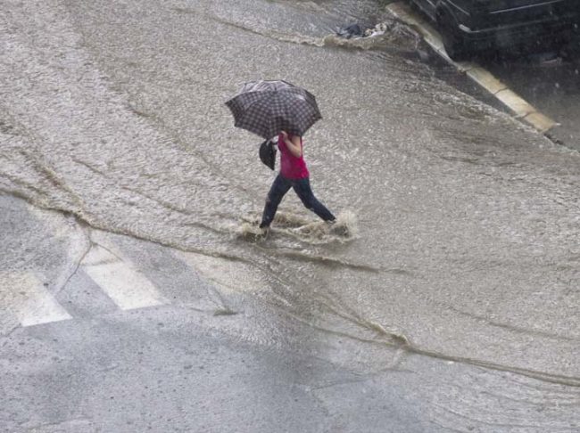 "To start with, I thought the fish had been dropped by birds but there were far too many. It has been stormy for the past few nights, so it's possible that a water spout has lifted the fish from the sea during the bad weather. It's a really strange phenomenon," Bain told the BBC.