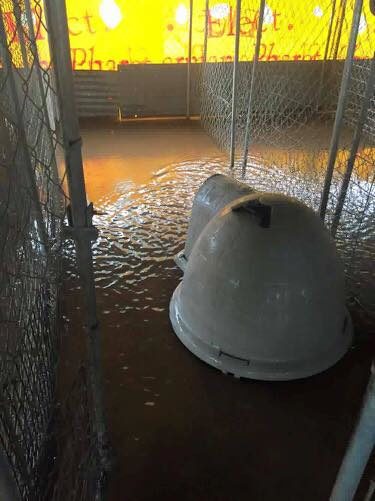 Unfortunately, the <a target="_blank" href="https://www.facebook.com/Tangihumaneshelter/">Tangi Humane Society</a> in Hammond became flooded with four feet of water.