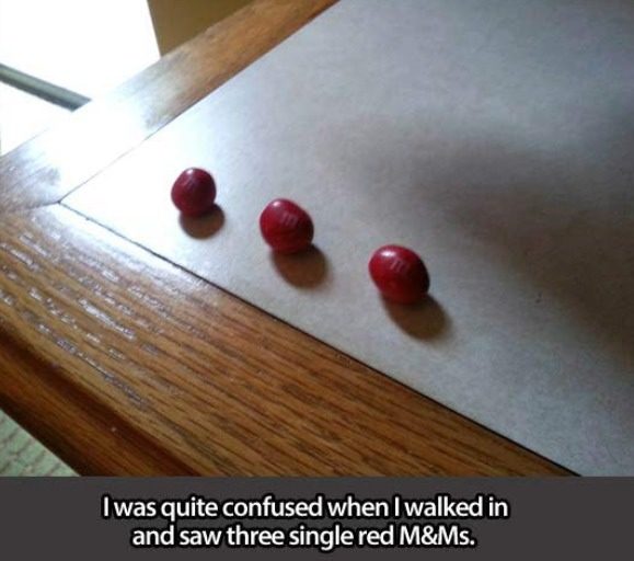 Later in the year, when he and his girlfriend walked into their room, they couldn't figure out why there were three red M&M's sitting on the counter.