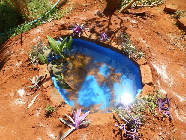 And in no time at all he had a beautiful fish pond that would double as a wildlife watering hole.