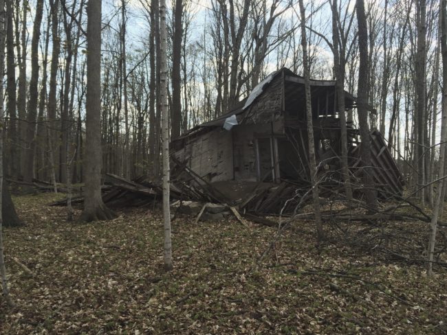 The following mess in Coldwater, Michigan, is totally "Blair Witch Project" material.