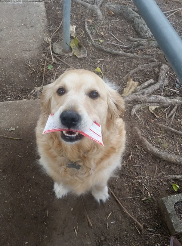 Judging by the adorable look on her face, Pippa's grateful for her favorite mailman. She'd probably make the best, most enthusiastic pen pal.