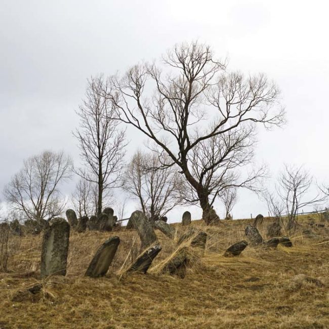 During the original outbreak, the surviving residents of Salekhard were not able to bury the bodies of their families very deep because of the permafrost. It's estimated that the smallpox outbreak killed about 40 percent of the town.