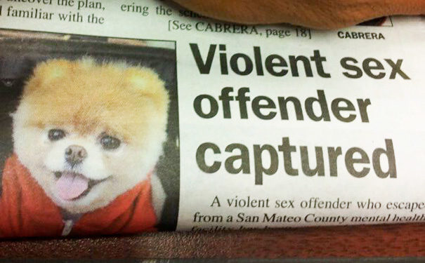 I bet they sent in the dog catcher to capture him.